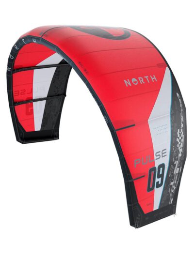 North Pulse 2025